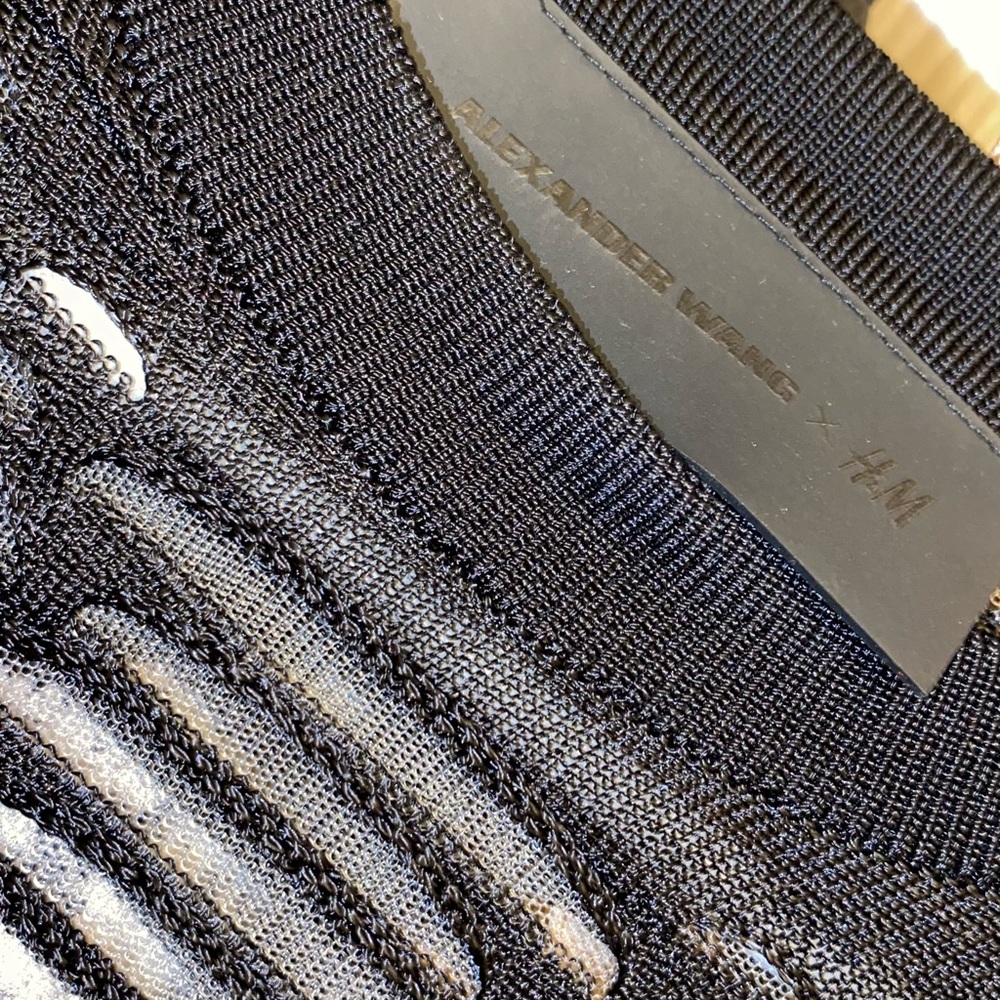 H&M x Alexander Wang Collab